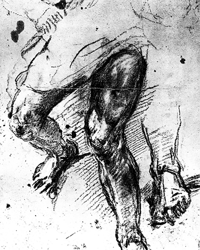 Study of Legs Titian